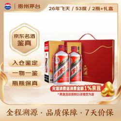 茅台 原箱直供 酱香型白酒  双瓶装 500ml*2 53度