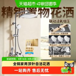 箭牌 淋浴花洒套装全铜家用自洁增压沐浴喷头卫生间浴0