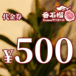 500元代金券|限1张