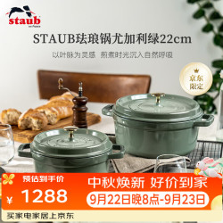 staub 珐宝 法国进口珐琅铸铁锅双耳煲汤锅烹饪锅具尤加利绿色22cm 1025321