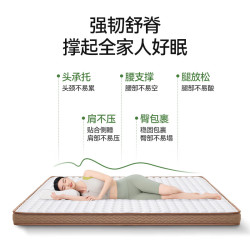 金橡树 天然椰棕床垫 1.2*1.9米 适中偏硬