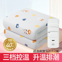 彩虹 电热毯单/双人调温/定时除螨电褥子多重自动断电保护排潮除湿 单控调温 长1.8米宽1.0米 无纺布