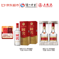 五粮液 第八代普五 52度 500ml*2瓶+国窖1573 52度 500ml*2瓶 白酒套装