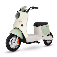 绿源 ZOF 电动自行车  LY2000DT-9