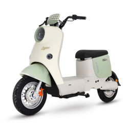 绿源 ZOF 电动自行车  LY2000DT-9
