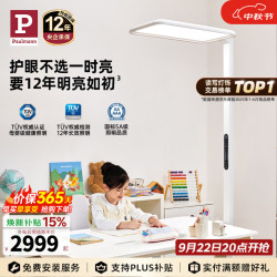 Paulmann P德国柏曼立式护眼灯 LED全光谱骑士大路灯儿童学习读写护眼台灯 新骑士I 8㎡-12㎡ 4000K 紫光护眼