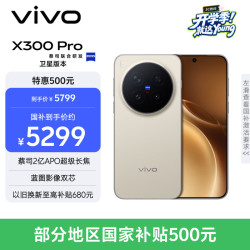 vivo X300 Pro 卫星通信版 5G手机 12GB+512GB 旷野棕
