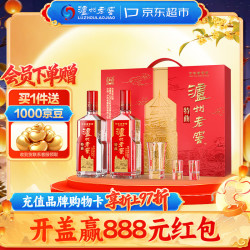 泸州老窖 特曲第十代 浓香型52度 500ml*2瓶 礼盒装白酒