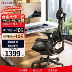 ENOVA 乐瓦合金大师2代 人体工学电脑椅