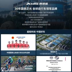 喜德盛 公路自行车RS350禧玛诺16速变速X6铝合金车架机械碟刹运动健身