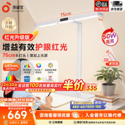 孩视宝 R系列标准款 50W自然光 台式大路灯