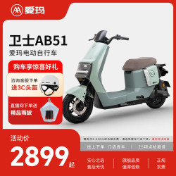 爱玛 卫士AB51 长续航电动自行车 TDR8106Z