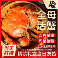 江问鱼 力度升级、每只12元!现货全母大闸蟹 2.3-2.6两/只 8只礼盒装(去绳足重、死蟹包赔)