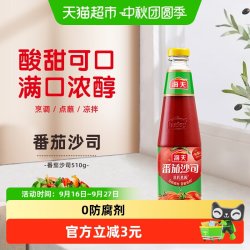海天 番茄沙司510g/瓶家用番茄酱意大利面披萨寿司手抓饼炸鸡酱料