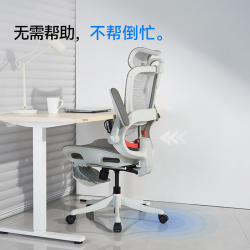 西昊 久坐舒适 人体工学椅  B100Pro 无脚踏 弹弓骶枕+3D头枕 转椅