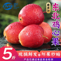 优味集 正宗东北鸡心果新鲜水果应季锦绣海棠果小苹果脆甜沙果孕妇生鲜 5斤装丨甄选大果丨净4.8-5斤