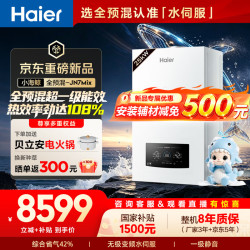 海尔 全预混一级能效冷凝燃气壁挂炉天然气采暖炉暖气片地暖锅炉热水器