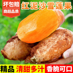 甜果源 云南天山雪莲果 净重4.5-5斤 无气柱装