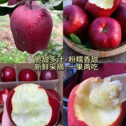 京喜加 天水花牛苹果带箱5斤净重4.5斤70-75mm