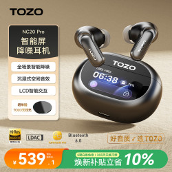 TOZO NC20 Pro 主动降噪 AI翻 锖色 蓝牙耳机
