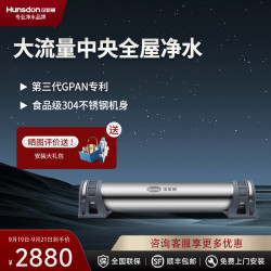 汉斯顿 正品超滤家用大流量全屋中央前置滤水净水机器HSD-2200CT
