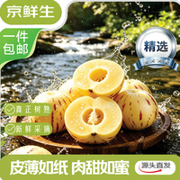 国家补贴：京鲜生 【真树熟】云南石林精品人参果24粒装 单果50g+ 中秋水果源头直发