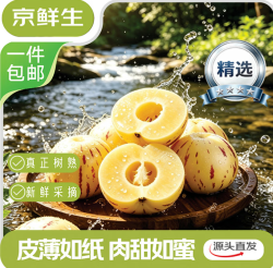 京鲜生 【真树熟】云南石林精品人参果24粒装 单果50g+ 中秋水果源头直发
