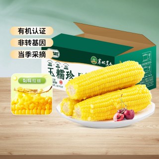 东北有机黄糯玉米300g*3棒