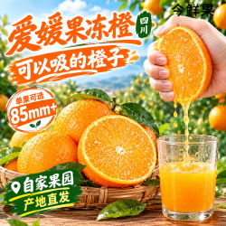 今鲜果 爱媛 38 号果冻橙 净重 4.5 斤 单果 65mm+