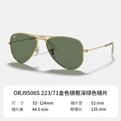 Ray-Ban RayBan雷朋太阳镜猫眼出街遮阳轻盈时尚墨镜0RB4171F运动