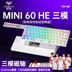 狼蛛 MINI60HE磁轴键盘无线有线蓝牙三模 RT电竞游戏客制化机械键盘无畏契约MINI60HE MAX 冰云轴白雾透