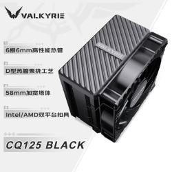 VALKYRIE 风冷散热器