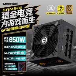 长城 G6 金牌（90%）全模组ATX电源 650W