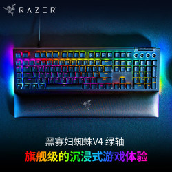 雷蛇 黑寡妇蜘蛛V4 104键 有线机械键盘 黑色 段落绿轴 RGB