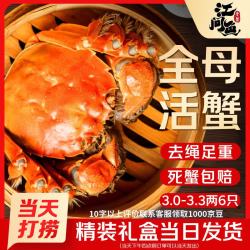 江问鱼 大闸蟹 全母3.0-3.3两 6只装 礼盒装
