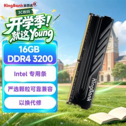 金百达 黑爵系列 DDR4 3200MHz 台式机内存 马甲条 黑色 16GB