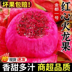 探味君 广西红心火龙果5斤新鲜红肉金都一号当季水果密宝果大果整箱包邮3