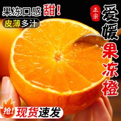 新鲜爱媛果冻橙新鲜橙子当季水果整箱38号青见柑橘子新鲜水果