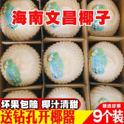 晶过 新鲜 海南椰子