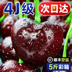 伊人之佳 特大果 车厘子