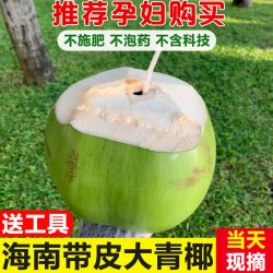正宗海南带皮椰青新鲜青皮椰子大青椰孕妇水果特产纯天然汁水多