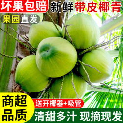 探味君 正宗海南带皮椰青新鲜奶香椰子当季大青椰嫩椰纯天然热带水果特产