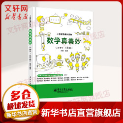 《数学真美妙》5-6年级
