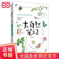 与神奇自然的四季约会 大