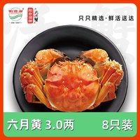 阳澄湖牌 六月黄大闸蟹 全母蟹 鲜活礼盒