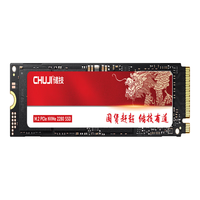 依正 M.2接口 PCIe3.0 NVMe协议 512GB 固态硬盘