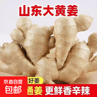 京喜 山东生姜老姜黄姜大姜风干姜月子姜土姜姜块老姜母 净重250g