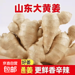 京喜 山东生姜老姜黄姜大姜风干姜月子姜土姜姜块老姜母 净重250g