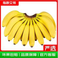 梦芷 广西甜香蕉软糯香甜新鲜酸甜香蕉应季水果青色发货(催熟食用) 净重3斤装