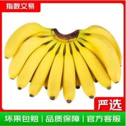 梦芷 广西甜香蕉软糯香甜新鲜酸甜香蕉应季水果青色发货(催熟食用) 净重3斤装